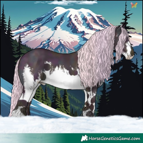 Horse Color:Watercolor White Spotted Midnight Gold Cream Champagne Dun 