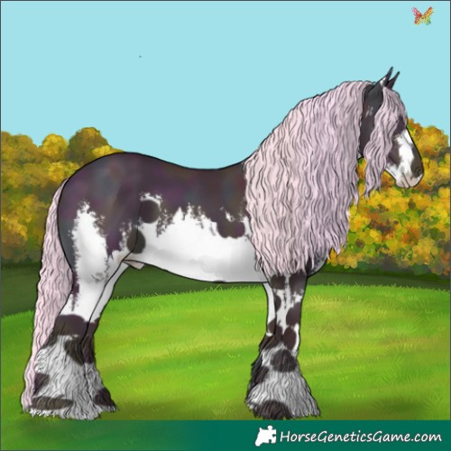 Horse Color:Watercolor White Spotted Midnight Gold Cream Champagne Dun