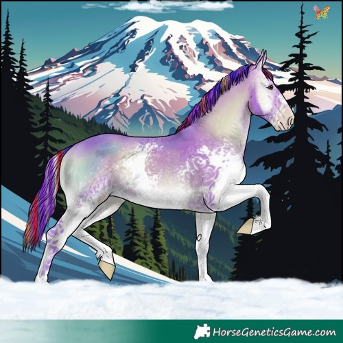 Horse Color:Painted Watercolor White Spotted Sable Champagne Onyx 