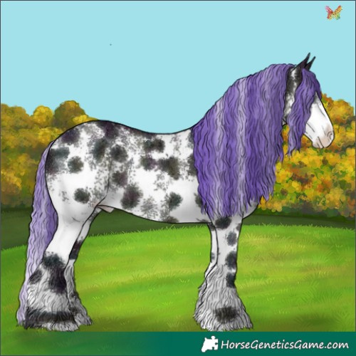 Horse Color:Watercolor Midnight Sable Champagne Ice Sabino 
