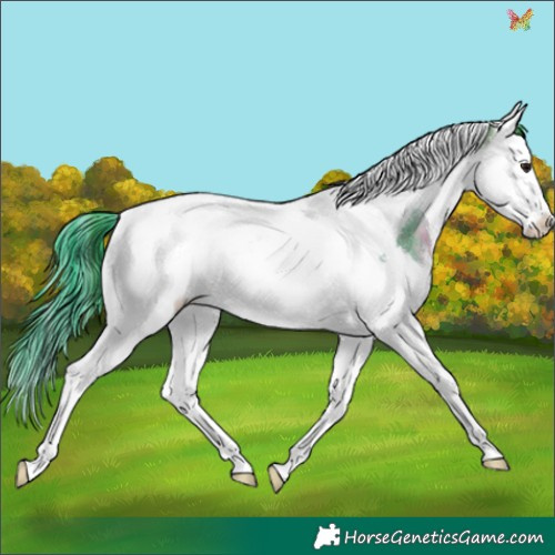 Horse Color:Watercolor White Spotted Brown Dun Splash Tobiano 