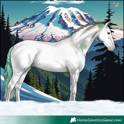 Horse Color:Watercolor White Spotted Brown Dun Splash Tobiano
