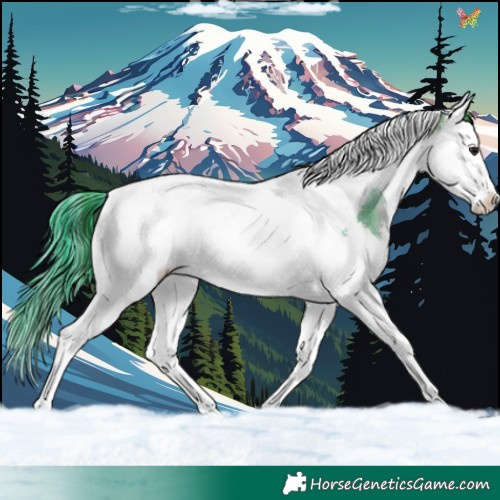 Horse Color:Watercolor White Spotted Brown Dun Splash Tobiano 