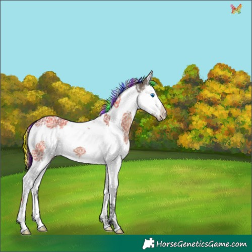 Horse Color:Painted White Spotted Brown Dun Splash Tobiano 