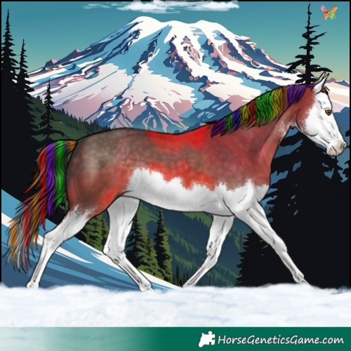 Horse Color:Painted White Spotted Brown Dun Splash 