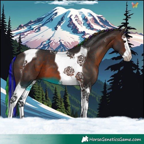 Horse Color:Painted Brown Splash Tobiano 