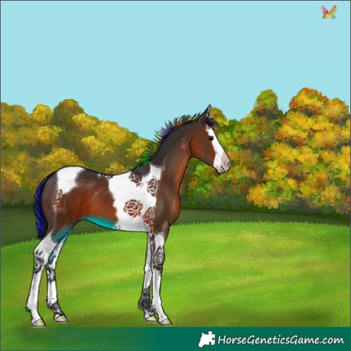 Horse Color:Painted Brown Splash Tobiano 