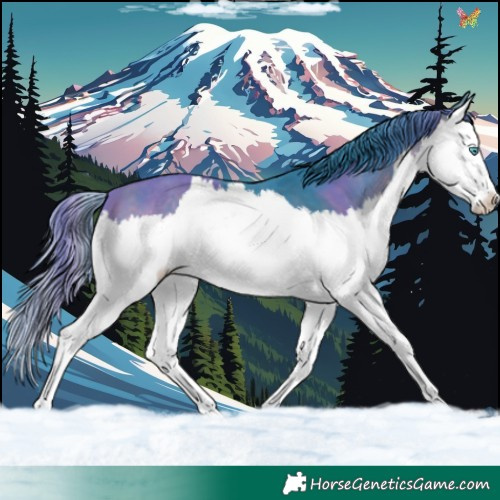Horse Color:Watercolor White Spotted Brown Splash 