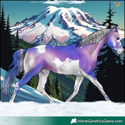 Horse Color:Watercolor Brown Onyx Splash Tobiano 