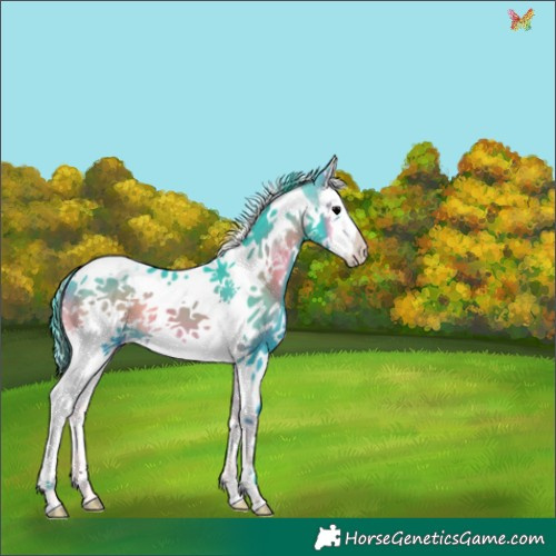 Horse Color:Watercolor Blue Onyx Sabino Splash Tobiano 