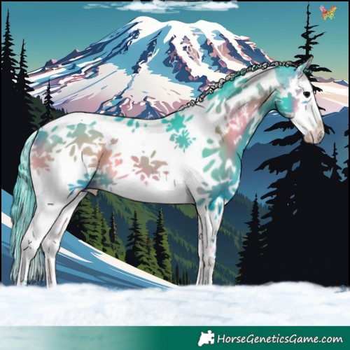 Horse Color:Watercolor Blue Onyx Sabino Splash Tobiano 