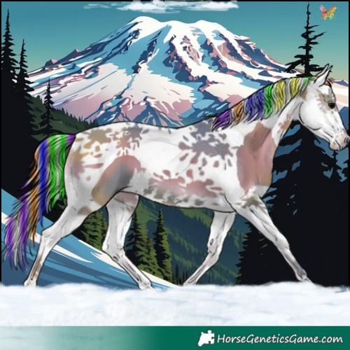Horse Color:Painted Watercolor Blue Onyx Splash Tobiano 