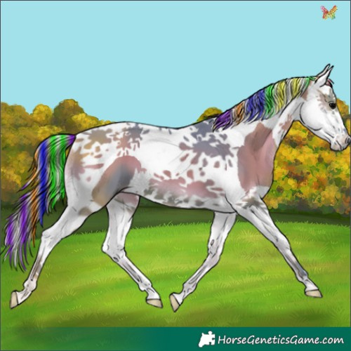 Horse Color:Painted Watercolor Blue Onyx Splash Tobiano