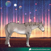 Horse Color:Platinum Liver Red Dun 