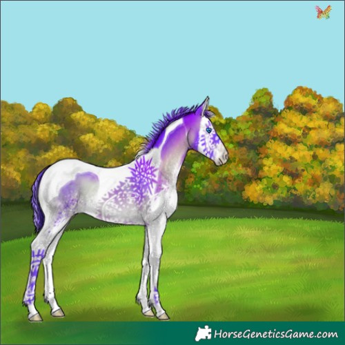 Horse Color:Watercolor White Spotted Brown Onyx Splash Tobiano 