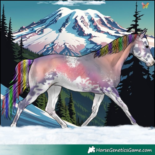 Horse Color:Painted Watercolor White Spotted Blue Onyx Splash 