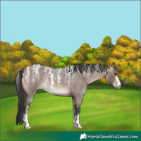 Horse Color:Powder White Brown Roan Dun
