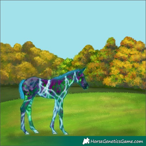 Horse Color:ERROR: UNKNOWN ANOMALY