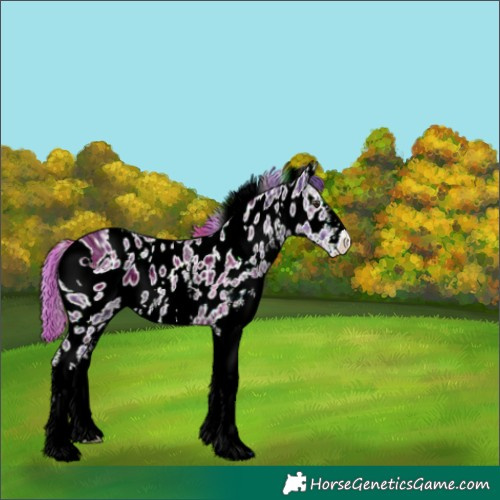 Horse Color:ERROR: UNKNOWN ANOMALY