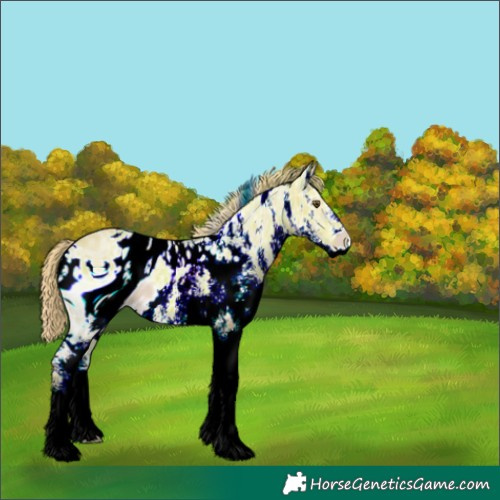 Horse Color:ERROR: UNKNOWN ANOMALY