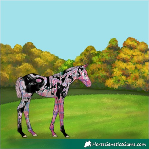 Horse Color:ERROR: UNKNOWN ANOMALY