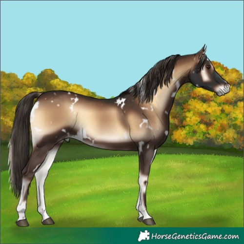 Horse Color:White Spotted Liver Red Onyx 