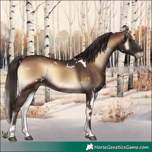 Horse Color:White Spotted Liver Red Onyx 