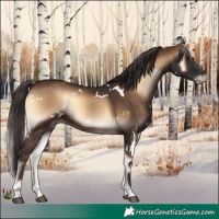 Horse Color:White Spotted Liver Red Onyx