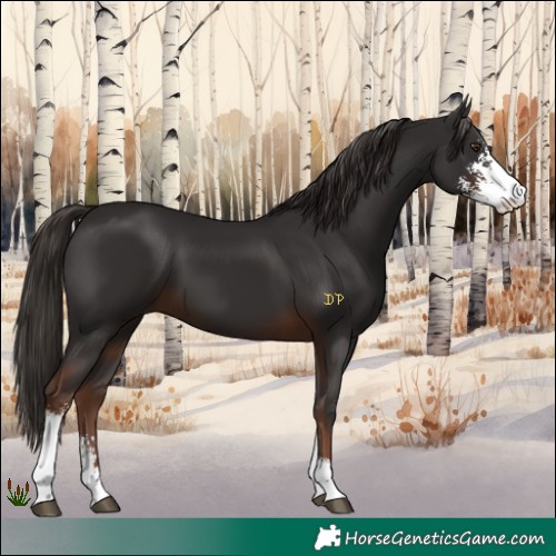 Horse Color:Liver Chestnut Sabino 