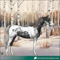 Horse Color:Liver Chestnut Sabino Tobiano 