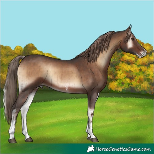 Horse Color:Liver Red Onyx Sabino Brindle 