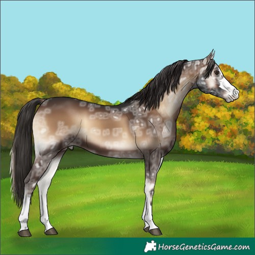 Horse Color:Liver Red Onyx Ice 