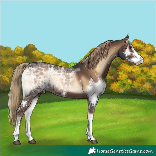 Horse Color:Liver Red Onyx Ice Sabino 