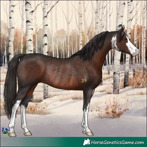 Horse Color:White Spotted Liver Chestnut Rabicano 