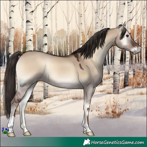 Horse Color:Liver Red Dun Onyx 