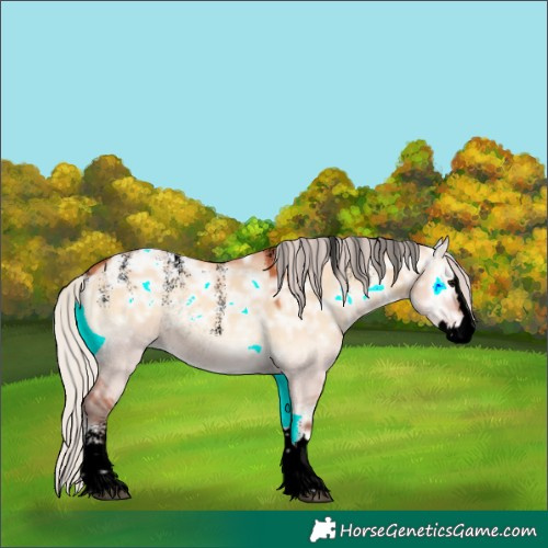 Horse Color:Powder White Void Silver Bay Ice Onyx Splash Rabicano