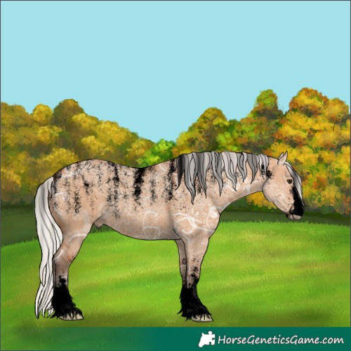 Horse Color:Powder White Void Silver Bay Ice Dun Rabicano 