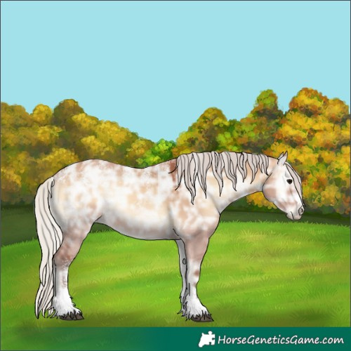 Horse Color:Powder White Silver Bay Ice Onyx Rabicano 