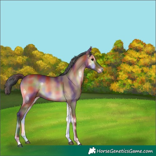 Horse Color:Nacre Bay Onyx 