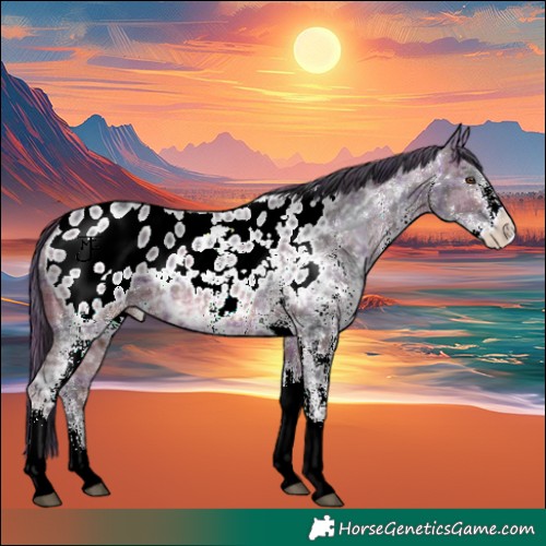 Horse Color:Plaid  White Spotted Bay Ice Blanket 