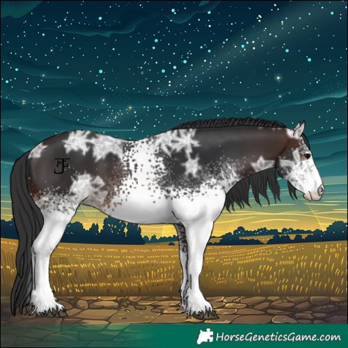 Horse Color:White Spotted Brown Ice 