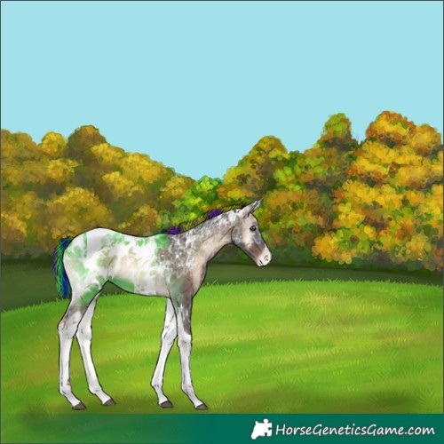 Horse Color:Painted Liver Red Onyx Ice Tobiano Appaloosa 