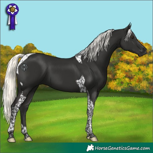 Horse Color:Liver Chestnut Mushroom Tobiano 