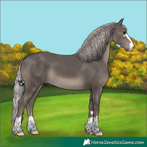 Horse Color:Silver Black 