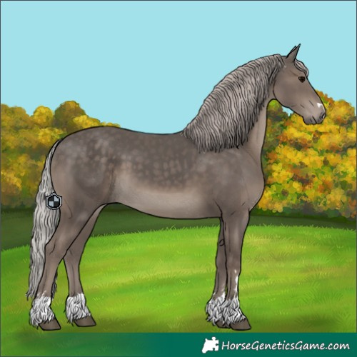 Horse Color:Silver Black 