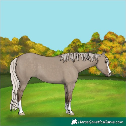 Horse Color:Silver Grullo