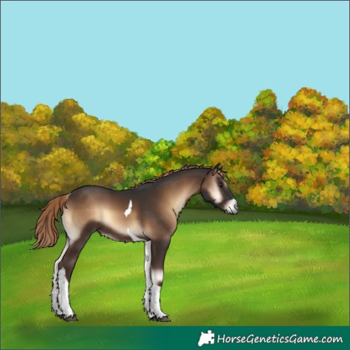 Horse Color:Liver Red Onyx Tobiano 