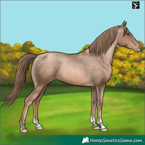 Horse Color:Liver Chestnut Pearl Varnish 