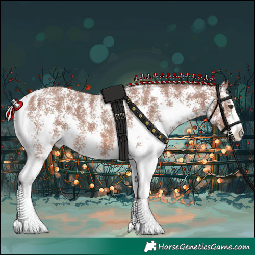 Horse Color:Chestnut Sabino