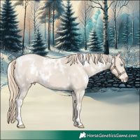 Horse Color:White Spotted Smoky Creme 